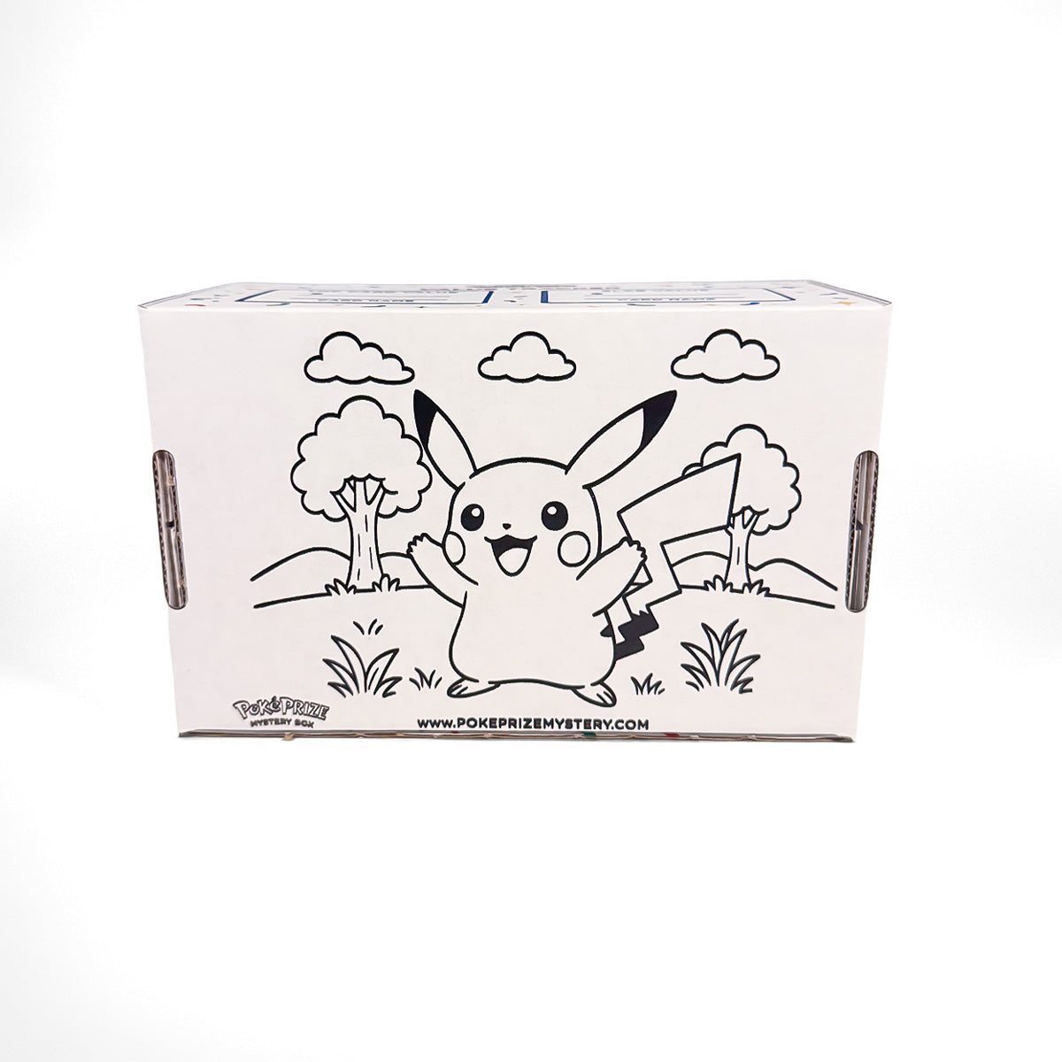 Poke Prize Mystery Box
